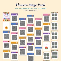 Flowers Themed Mazes Book