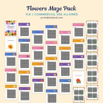 Flowers Themed Mazes Book